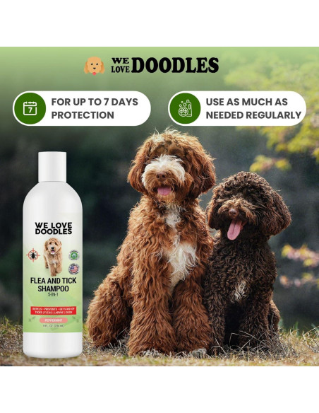 Champú Antipulgas para Perros Amamos los Doodles 236.6 ml Champú Antipulgas para Perros Amamos los Doodles 236.6 ml