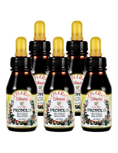 5 Botellas de Extracto Líquido de Própolis Verde Apiario Silvestre - No Alcohólico