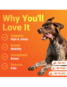 Suplemento WuffWell para Caderas y Articulaciones 140g 2