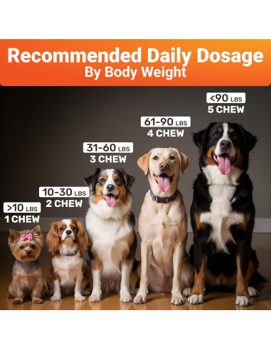 Suplemento WuffWell para Caderas y Articulaciones 140g