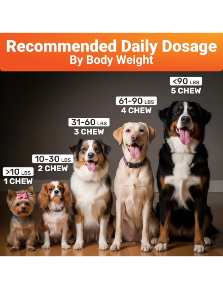 Suplemento WuffWell para Caderas y Articulaciones 140g