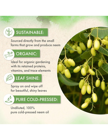 Aceite de Neem Orgánico Puro El Grow Co - 226.8 ml Spray Brillo