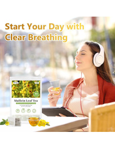 50 Bolsitas de Té de Hoja de Mullein Orgánico - Detox Pulmones 2