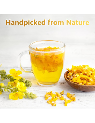 50 Bolsitas de Té de Hoja de Mullein Orgánico - Detox Pulmones