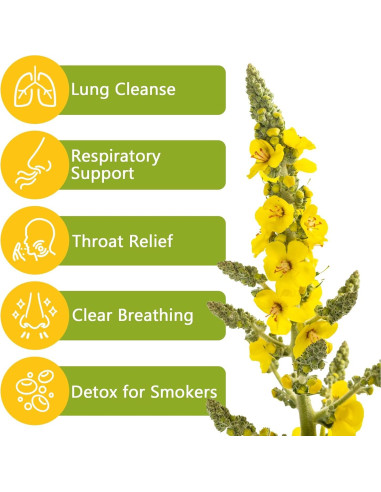 50 Bolsitas de Té de Hoja de Mullein Orgánico - Detox Pulmones