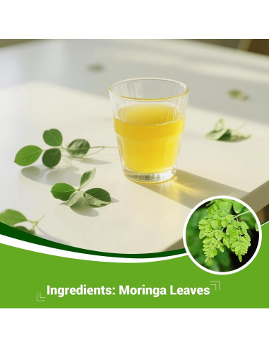 Té de Moringa HIIHONE - Sin Cafeína, 50 Bolsitas
