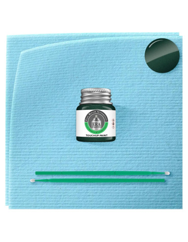 Pintura Automotriz ERA 6R1 Perla Verde Bosque 7.4 ml Tarro