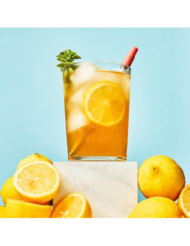 Popote Metálico Reutilizable ZOKU con Estuche Rojo 10-23 cm