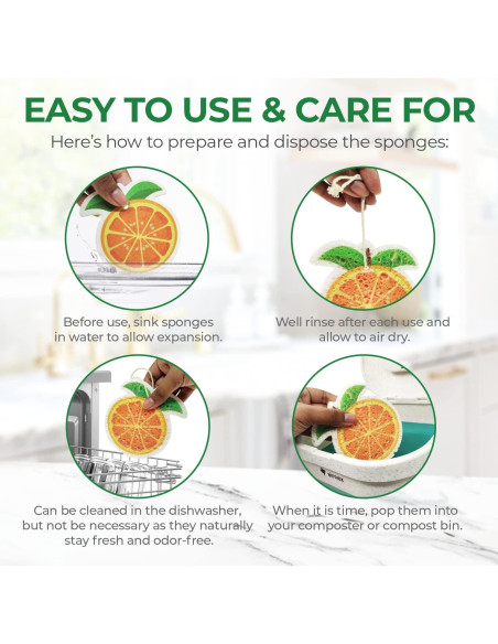 Esponjas Comprimidas Biodegradables AIRNEX - 12 Piezas Ecológicas