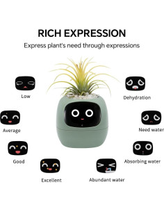 Maceta Inteligente Ivy Verde con Sensor de Agua y Luz 2