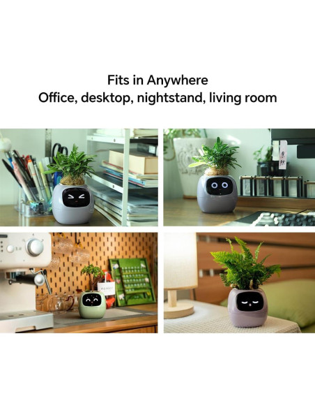 Maceta Inteligente Ivy Verde con Sensor de Agua y Luz Maceta Inteligente Ivy Verde con Sensor de Agua y Luz