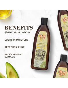 Acondicionador Nutritivo Burt's Bees 340 ml - Aguacate y Oliva 2