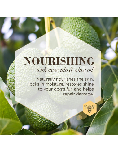 Acondicionador Nutritivo Burt's Bees 340 ml - Aguacate y Oliva