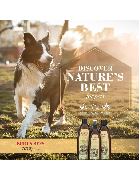 Acondicionador Nutritivo Burt's Bees 340 ml - Aguacate y Oliva