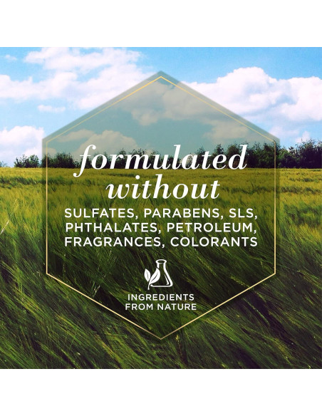 Acondicionador Nutritivo Burt's Bees 340 ml - Aguacate y Oliva