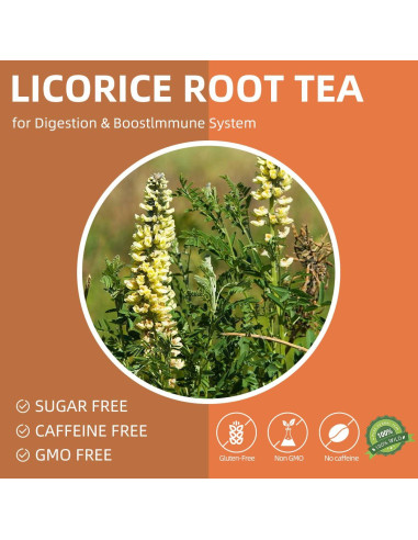 Té de raíz de regaliz ILGNIMZ 40 bolsas sin cafeína