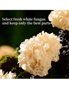 Hongo de Nieve Seco DOZO Tremella Fuciformis 120g Sin Aditivos 2