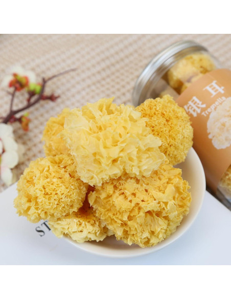 Hongo de Nieve Seco DOZO Tremella Fuciformis 120g Sin Aditivos