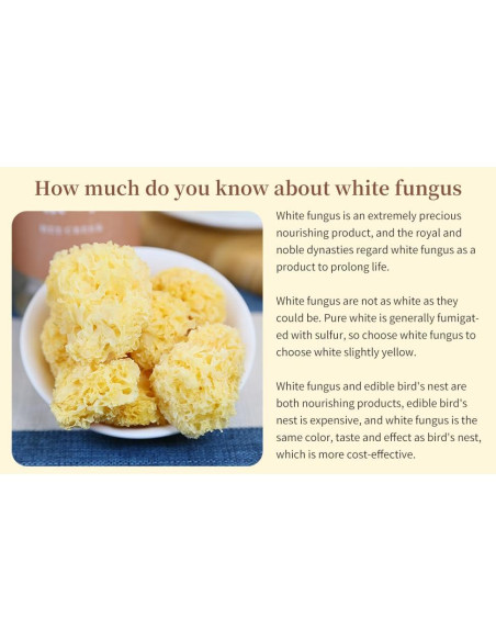 Hongo de Nieve Seco DOZO Tremella Fuciformis 120g Sin Aditivos