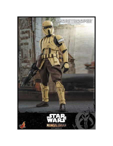 Figura Coleccionable Shoretrooper Hot Toys 30 cm Star Wars