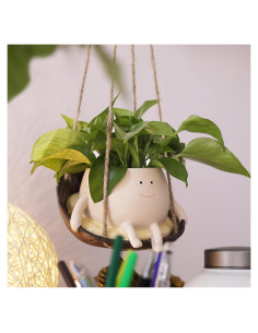 Maceta Colgante NINIPAPA Silla de Columpio Resina 7.6cm