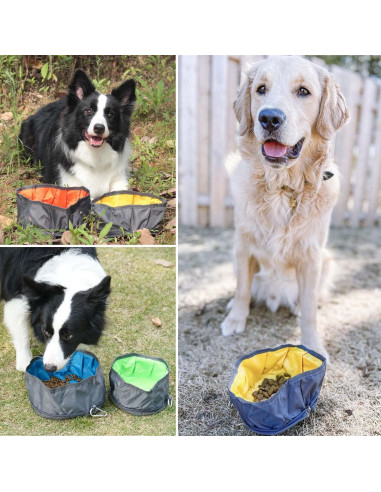 Tazón de Viaje Plegable LumoLeaf 2L para Perros y Gatos