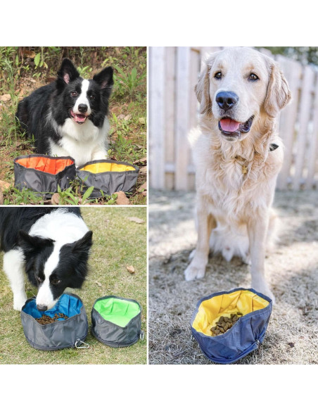 Tazón de Viaje Plegable LumoLeaf 2L para Perros y Gatos