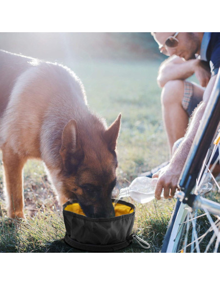 Tazón de Viaje Plegable LumoLeaf 2L para Perros y Gatos