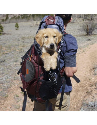 Tazón de Viaje Plegable LumoLeaf 2L para Perros y Gatos