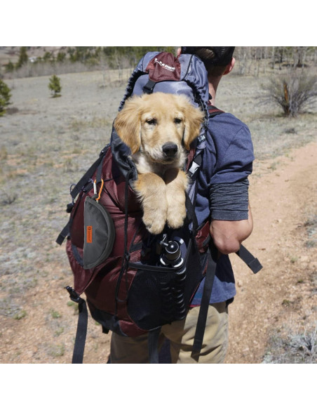 Tazón de Viaje Plegable LumoLeaf 2L para Perros y Gatos