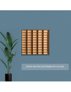 Organizador de Exhibición Premium Alejandro Cortes para 50 Coches 1/64 2