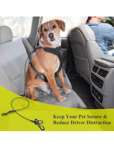 Cinturón de Seguridad para Perros VIVAGLORY 84.92 cm Negro