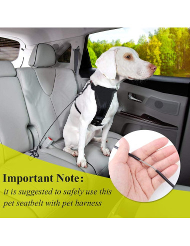 Cinturón de Seguridad para Perros VIVAGLORY 84.92 cm Negro