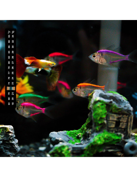 8 Tiras Termómetro Adhesivas Acuario Bremorou 18-34C
