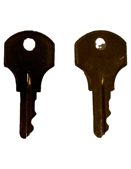 2 Llaves Fire-Lite 17021 para Alarmas de Incendio