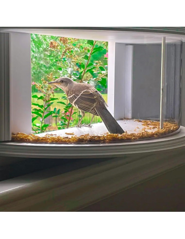 Alimentador de Aves de Ventana Kennels & Kats 63x28 cm