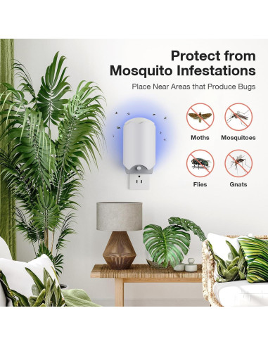 12 Tarjetas de Recarga de Pegamento Forhimn para Trampa de Insectos