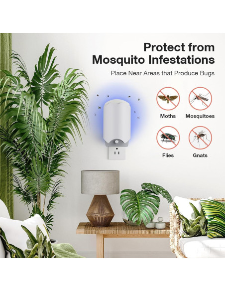 12 Tarjetas de Recarga de Pegamento Forhimn para Trampa de Insectos