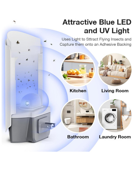 12 Tarjetas de Recarga de Pegamento Forhimn para Trampa de Insectos