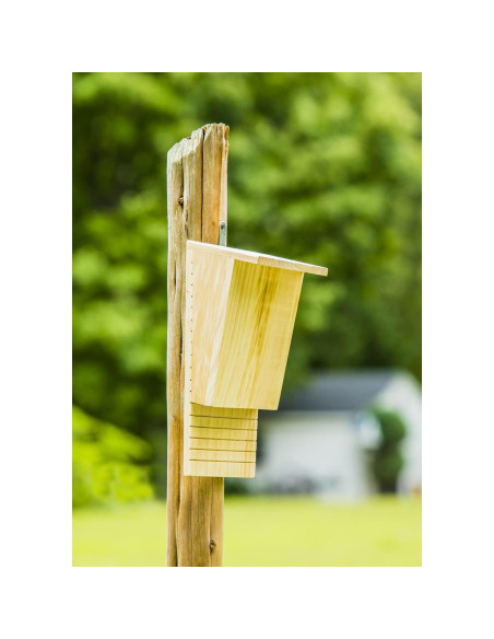 Casa de Murciélagos de Madera Natural Evergreen 23x34 cm