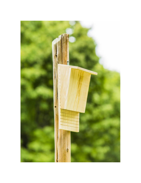 Casa de Murciélagos de Madera Natural Evergreen 23x34 cm