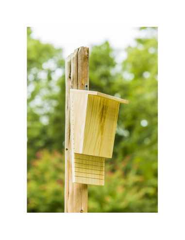 Casa de Murciélagos de Madera Natural Evergreen 23x34 cm