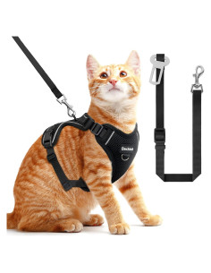 Arnés para Gato BECHTEL Ajustable y Transpirable Negro S