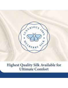 Funda de Almohada 100% Seda Cosy House Reina Azul Ceniza 2