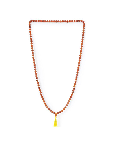 Mala de Rudraksha 5 Mukhi Original con Bolsa de Japa 8mm