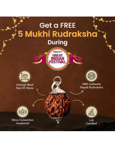Mala de Rudraksha 5 Mukhi Original con Bolsa de Japa 8mm