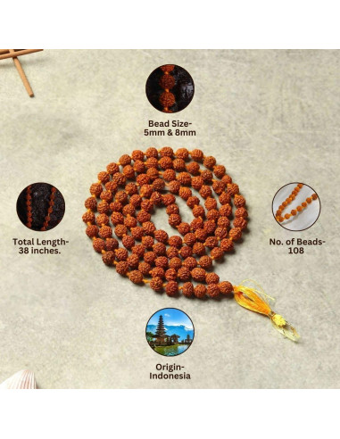 Mala de Rudraksha 5 Mukhi Original con Bolsa de Japa 8mm