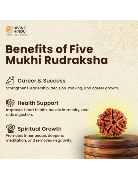 Mala de Rudraksha 5 Mukhi Original con Bolsa de Japa 8mm