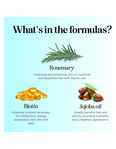 Conjunto de Tratamiento Capilar Maple Holistics 315 ml - Biotina