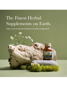 Gaia Herbs Alivio de Reflujo 45 Tabletas Masticables Digestivas 2